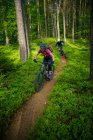 Man and woman mountain biking through the forest, Klagenfurt, Carinthia, Austria — Stock Photo
