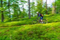 Bicicleta de montaña hombre a través del bosque, Klagenfurt, Carintia, Austria - foto de stock