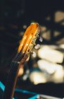 Close-up of a guitar in the sunlight - foto de stock