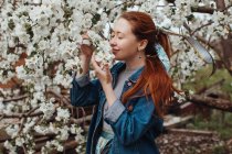 Lächelnde Frau, die einen Kirschblütenbaum riecht — Stockfoto