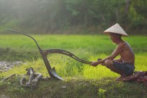 Farmer preparing his plough, Thailand — Stock Photo