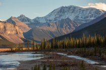 Gebirgslandschaft, Icefields Parkway, Jasper-Nationalpark, Kanadische Rocky Mountains, Alberta, Kanada — Stockfoto