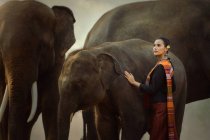 Женщина стоит рядом с тремя слонами, Сурин, Таиланд — стоковое фото