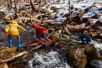 Drei Kinder stehen auf einem umgestürzten Baum im Fluss, USA — Stockfoto