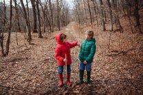 Due ragazzi felici che camminano attraverso la foresta, USA — Foto stock