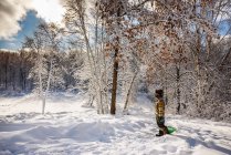 Menino puxando um trenó através da neve, EUA — Fotografia de Stock