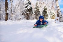 Хлопчик на санях униз по схилу снігу, США. — стокове фото