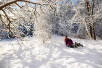 Mujer en trineo en la nieve, EE.UU. - foto de stock