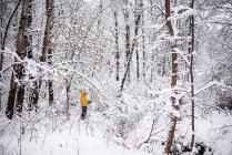 Junge erkundet Wald im Schnee, USA — Stockfoto