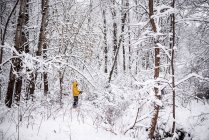 Niño explorando bosques en la nieve, Estados Unidos - foto de stock