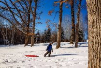Мальчик тянет сани через снег, США — стоковое фото
