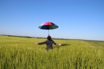 Man standing in a flax field balancing a multi coloured umbrella on his face, France — Stock Photo