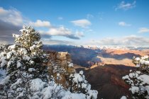 Parque Nacional del Gran Cañón en invierno Arizona, Estados Unidos - foto de stock