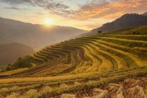 Terrazze risaie al tramonto, Mu Cang chai, Vietnam — Foto stock