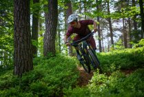 Mann mit Mountainbike durch den Wald, Klagenfurt, Kärnten, Österreich — Stockfoto