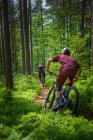 Bicicleta de montaña de hombre y mujer a través del bosque, Klagenfurt, Carintia, Austria - foto de stock