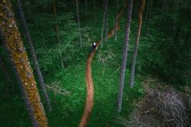 Homme VTT à travers la forêt, Klagenfurt, Carinthie, Autriche — Photo de stock