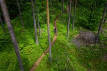 Homme VTT à travers la forêt, Klagenfurt, Carinthie, Autriche — Photo de stock