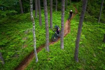 Uomo e donna in mountain bike attraverso la foresta, Klagenfurt, Carinzia, Austria — Foto stock
