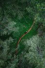 Vue aérienne d'un homme faisant du VTT à travers la forêt, Klagenfurt, Carinthie, Autriche — Photo de stock