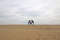 Family standing on beach in winter messing about, Rimini, Emilia-Romagna, Itália — Fotografia de Stock