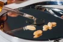 Труба с аргановым маслом и семенами аргана — стоковое фото