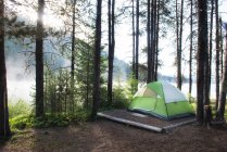 Tent on a campsite by Lemolo Lake in morning mist, Umpqua National Forest, Oregon, USA — Stock Photo