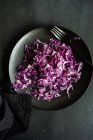 Teller mit in Scheiben geschnittenem rohen Rotkohl — Stockfoto