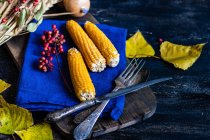 Концепция Дня благодарения и осеннего сбора урожая — стоковое фото