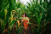 Fille courant à travers un champ de maïs, États-Unis — Photo de stock