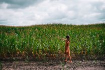 Retrato de uma menina em um campo de milho tocando uma planta, EUA — Fotografia de Stock