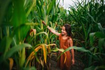 Retrato de una niña en un campo de maíz tocando una planta, EE.UU. - foto de stock