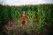Girl standing in a corn field, USA — Stock Photo