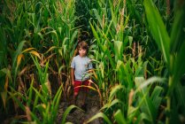 Porträt eines Jungen, der in einem Maisfeld steht, USA — Stockfoto