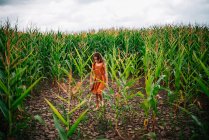 Menina caminhando através de um campo de milho, EUA — Fotografia de Stock