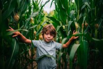 Porträt eines Jungen, der in einem Maisfeld steht, USA — Stockfoto