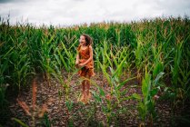 Girl standing in a corn field, USA — Stock Photo