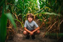 Portrait d'un garçon accroupi dans un champ de maïs, États-Unis — Photo de stock