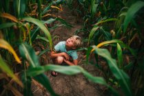 Garçon accroupi dans un champ de maïs, États-Unis — Photo de stock