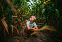 Ragazzo accovacciato in un campo di mais, USA — Foto stock