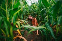 Smiling girl playing in a corn field, USA — Stock Photo