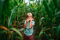 Garçon debout dans un champ de maïs mangeant une épi de maïs, États-Unis — Photo de stock