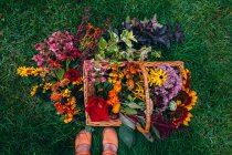 Vista aérea de una niña de pie junto a una cesta llena de flores recién recogidas, EE.UU. - foto de stock