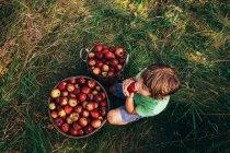 Вид сверху на мальчика, сидящего в саду и поедающего яблоко, США — стоковое фото