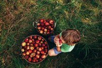 Visão aérea de um menino sentado em um pomar comendo uma maçã, EUA — Fotografia de Stock