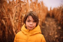Portrait of a boy standing in a corn field in the fall, USA — Stock Photo