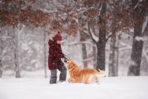 Menina de pé na neve brincando com seu cão golden retriever, Wisconsin, EUA — Fotografia de Stock