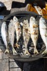 Primer plano de sardinas en una barbacoa - foto de stock