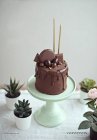Chocolate cake with golden candles on a cakestand next to succulent plants — Stock Photo
