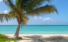 Barco anclado en la playa de Ffryes, Antigua y Barbuda - foto de stock